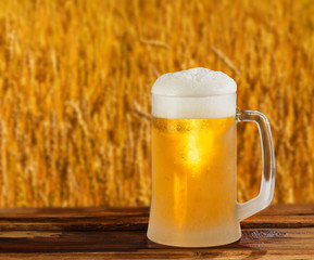 cold glass mug of beer in a landscape