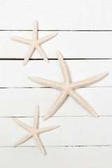 Three white starfish