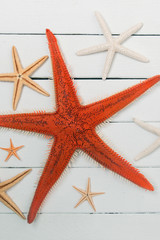 starfish on white wood