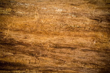 natural beautiful old wood texture