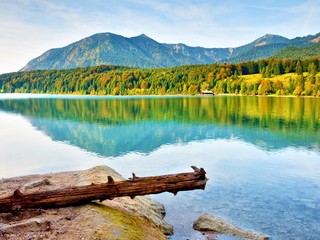 Mountain lake before sunset. Wet sand beach with tree fallen into water.