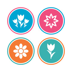Flowers icons. Bouquet of roses symbol. Flower with petals and leaves. Colored circle buttons. Vector