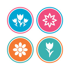Obraz premium Flowers icons. Bouquet of roses symbol. Flower with petals and leaves. Colored circle buttons. Vector