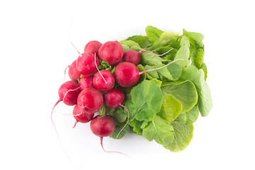 Mazzo di ravanelli