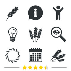 Agricultural icons. Gluten free or No gluten signs. Wreath of Wheat corn symbol. Information, light bulb and calendar icons. Investigate magnifier. Vector
