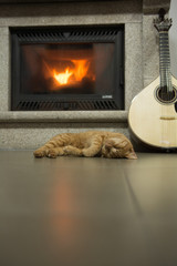 
Gato durmiendo al lado de chimenea y de guitarra portuguesa
