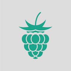 Raspberry icon