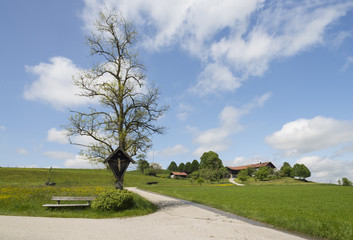 Fototapeta na wymiar Bildstock vor einem alten Baum umgeben von blühenden Wiesen vor Bayernhof,Bayern,Deutschland