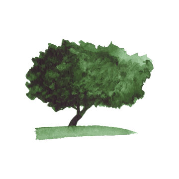 Abstract watercolor tree in green colors on white background. Vector Illustration.