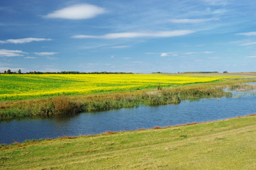 summer landscape with river