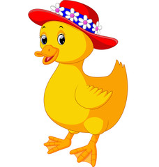 Cute baby duck cartoon