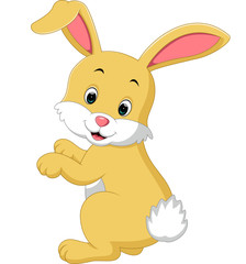 cute rabbit cartoon