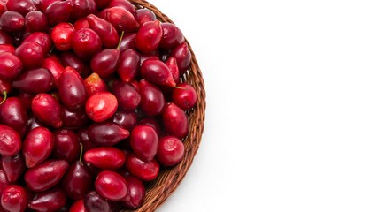 red dogwood berries on a white background