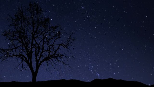10857 night sky stars tree time lapse

