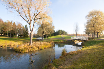 Fototapeta na wymiar Beautiful autumn in city park with bridge and ducks