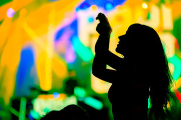 Fans cheering at open-air live concert. Image not in focus