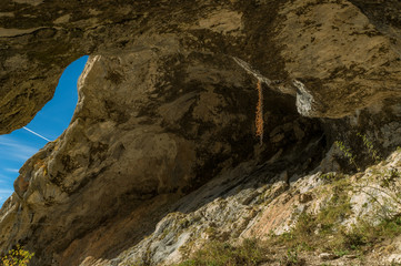 A wild cave