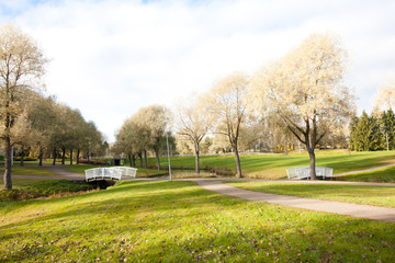 Beautiful autumn in city park with bridge and ducks