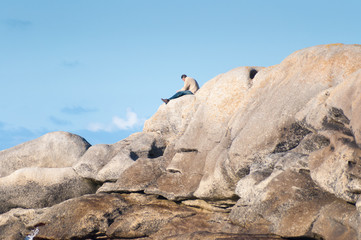 Fototapeta na wymiar ein Mann sitzt auf einem Felsen und schaut entspannt auf das Meer bei Meneham, Brignogan, Bretagne, Frankreich
