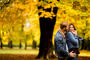 Loving couple in autumn park