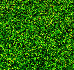 Fototapeta na wymiar artificial grass