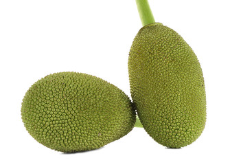 Ripe jackfruit isolated on white background