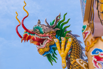 Chinese Dragon Temple Bird