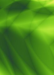 Fototapeta na wymiar Leaf abstract green fractal background