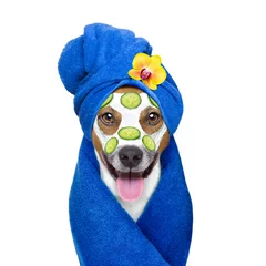 Stickers pour porte Chien fou bien-être beauté masque spa chien