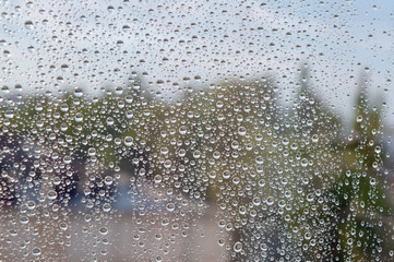 Drops of rain on the window