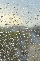 Drops of rain on the window