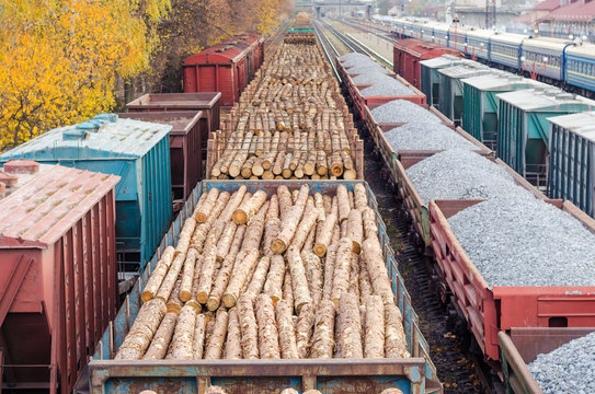 Environment, nature and deforestation forest - felling of trees. The concept of a global problem. Freight train loaded with pine trunks. © valerii kalantai