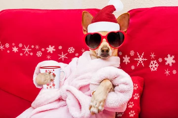 Stickers pour porte Chien fou chien spa bien-être noël vacances
