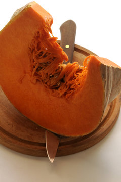 Cucurbita pepo D&yacute;ně S&uuml;tőt&ouml;k Тыква Tikva плод Zucca Carbassera de rabequet Calabaza jerimum gigante कुम्हड़ा Pampoen דלעת Ab&oacute;bora B&iacute; ng&ocirc; Pumpkin Citrouille Pompoen Grasker