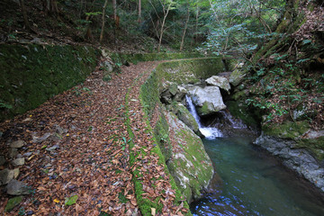 愛媛県　三滝渓谷　遊歩道