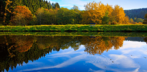 Autumn trees on the coast the lake.
