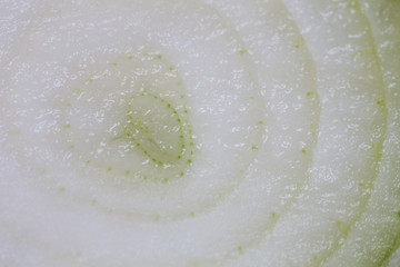 Onion texture.