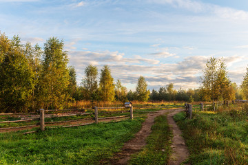 Fototapeta premium rural landscape in the morning