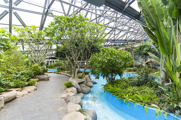 Botanical Garden interior in Jeju Island in South Korea