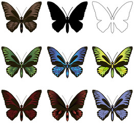 Fototapeta na wymiar Set of butterflies. Silhouette, outline and painted.