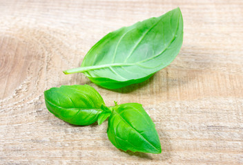 Green fresh basil on wooden background.