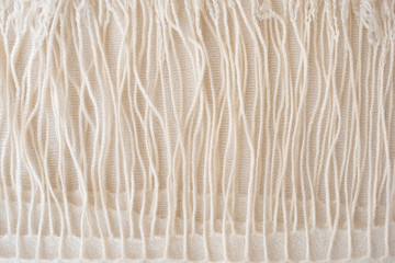 Kaschmir Wolle - Nahaufnahme 