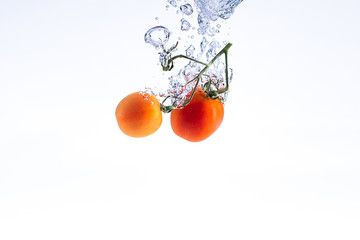 Watersplash Tomate