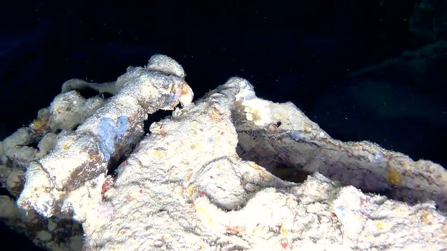 So many Norton and BSA Motorcycles that have been pillaged for souvenirs lay in waste in Hold No2 of the SS Thistlegorm Ship Wreck in the Red Sea