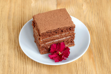 Piece of chocolate cake in white plate on wooden table