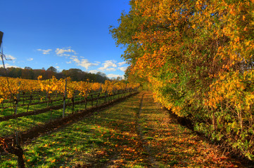 Naklejka premium Herbstlandschaft