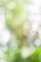 texture bokeh style , sunlight bokeh background , bokeh and blur