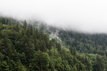 Königsbachfall, Wälder, Ostufer; Schönau am Königssee