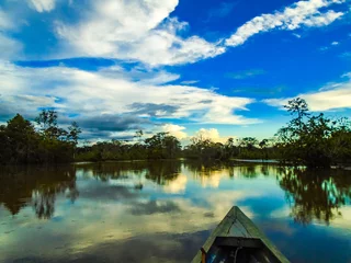 Zelfklevend Fotobehang Amazon river © ammonite