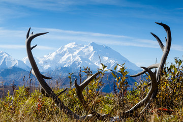 Mount Denali ( McKinley )